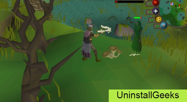 Uninstall Runescape